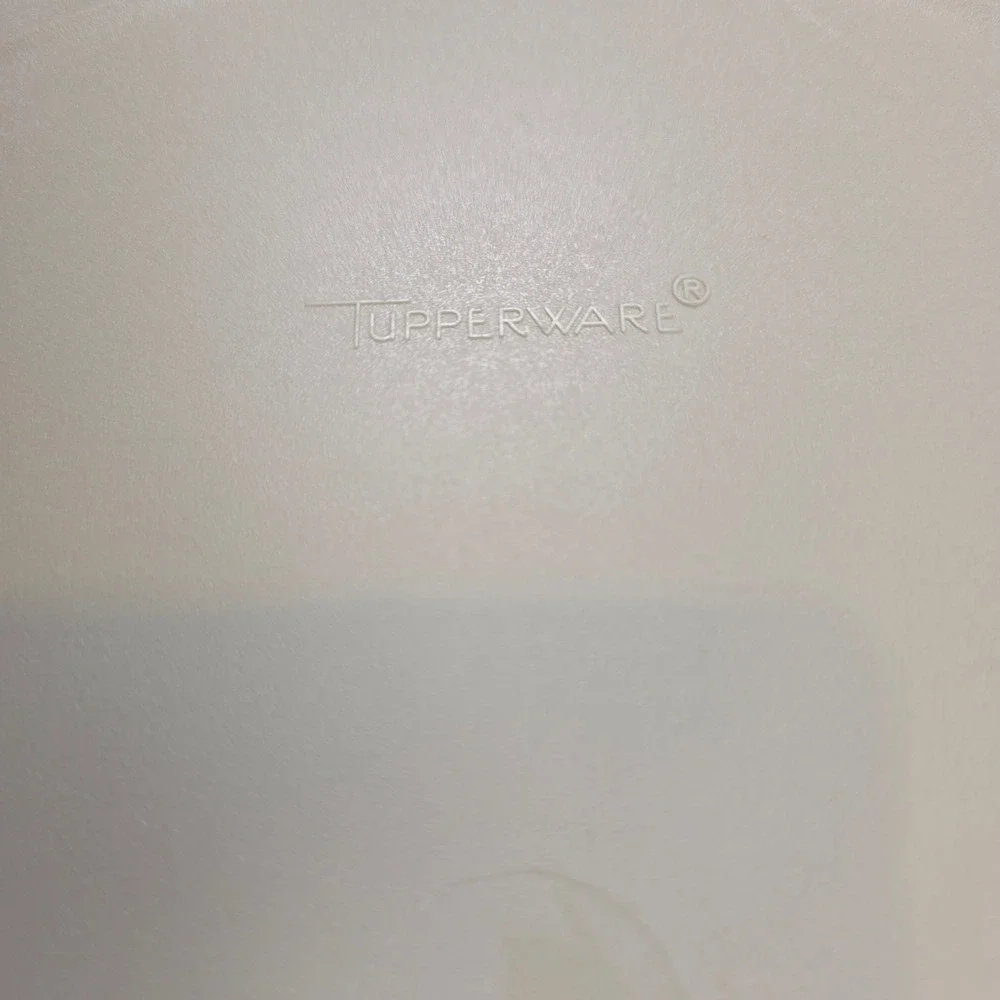 Vintage Tupperware 1665-2 Serving Divided Veggie Dip Tray Almond with Lid 12.5in